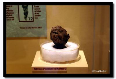 Shruken Head, Archeology Museum, Lima, Peru