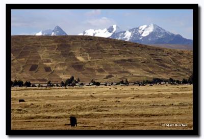 Bolivian Landscape