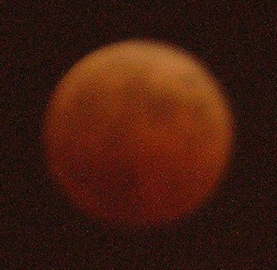 DSCN8562.jpg