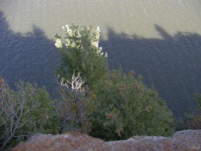 Above the river.jpg(212)