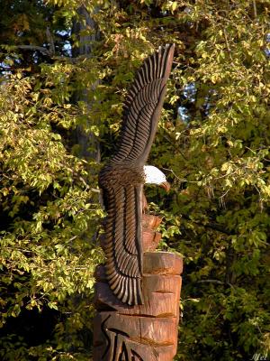 Wooden eagle.jpg(306)