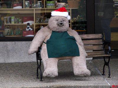 Christmas Bear.jpg(246)