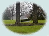 Park bench.jpg(347)