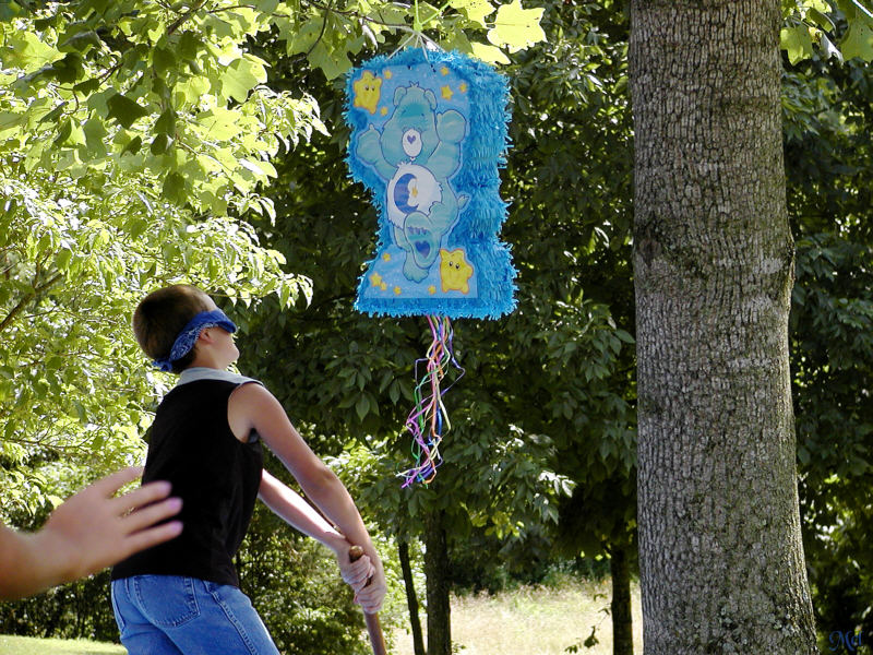 Sixth swinger.jpg(260)