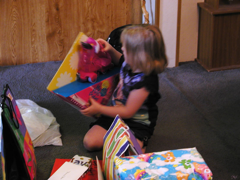 Present from G-ma &  Wayne.jpg(140)
