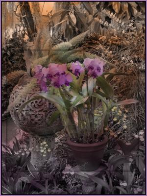 lesson-4-flowers-2-after.jpg