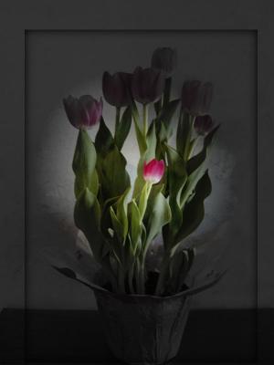 tulips.jpg