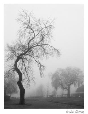 u48/mtf_foto_studies/medium/37011927.PICT2160_1.jpg