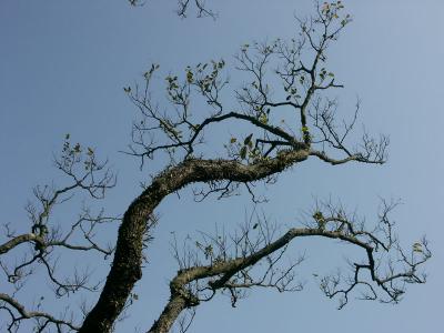 u48/mtf_foto_studies/medium/37138121.original.jpg