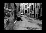 MC36: Loneliness - Lost in the big city by Claudio Gatti