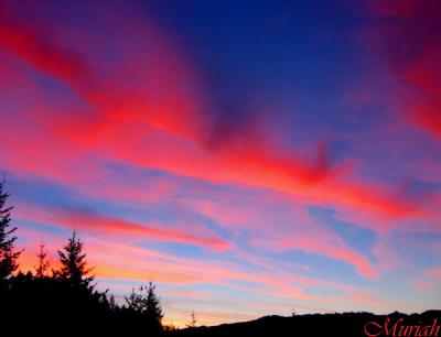 Sunrise (11-29-04)