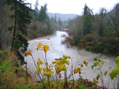 Deep Creek Flood (12-08-04)