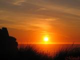 Sunset Sandgrass (12-02-04)