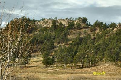 the bluffs of home ...