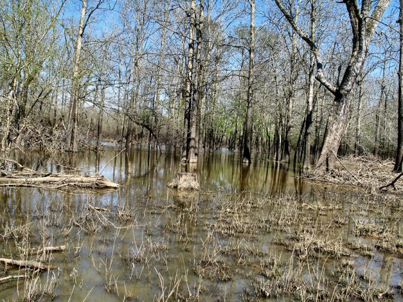 High Water