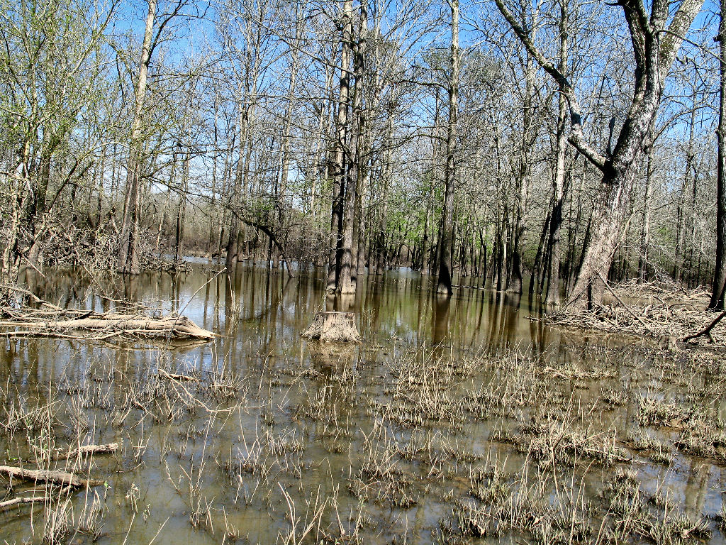 High Water