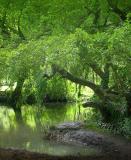 Tranquility