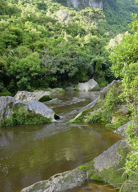Porokari River Track