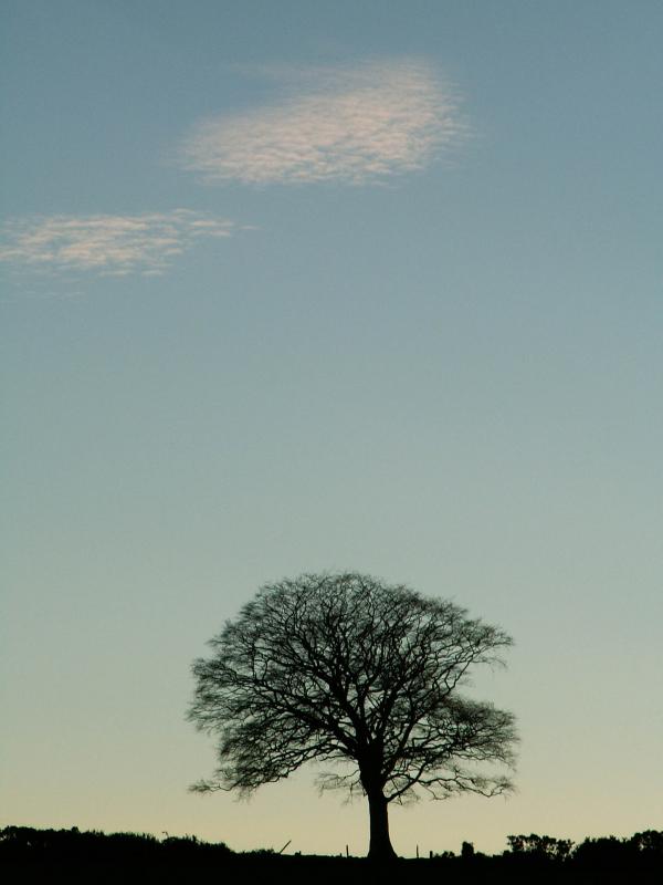 Pict0002a.jpg