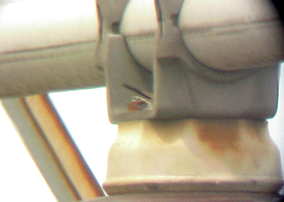 Western Kingbird - 6-26-04 nest Ensley