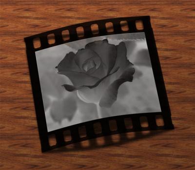 rose negative