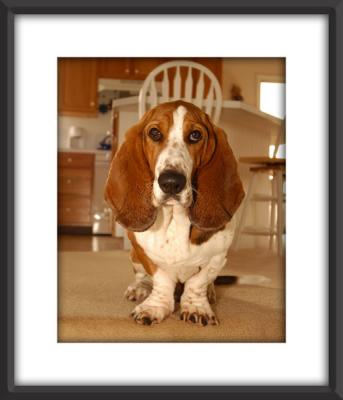 Henry_0705.jpg