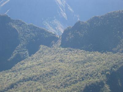 Zoom, the path, Sentier du Roche Plate