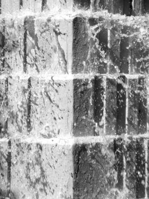 P7040022_bw.jpg