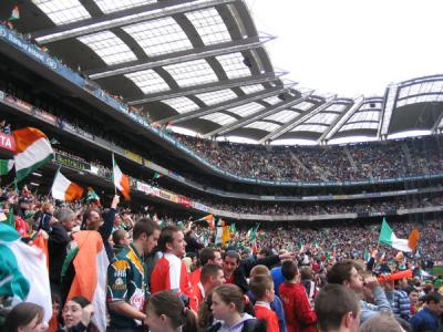 The Irish crowd celebrating a score