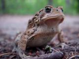 DSC02997.jpg
