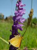 DSC03054.jpg