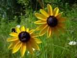 DSC00015.jpg