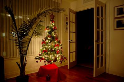 Christmas tree, aglow
