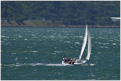 u48/philinnz/medium/37089338.4decsailing.jpg