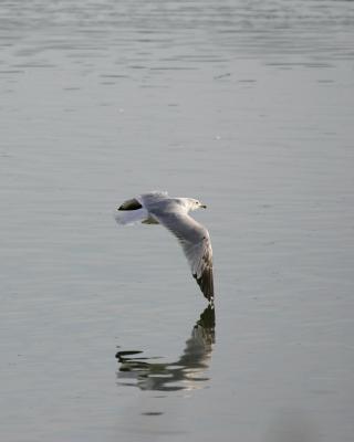 feb_22_05
