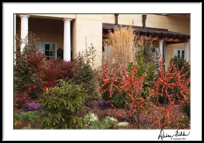 Winter Color at Stowe