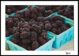 Blackberries at the Farmers Market