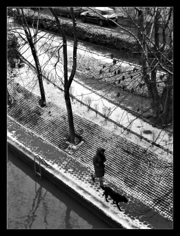 Bord de Marne neigeux