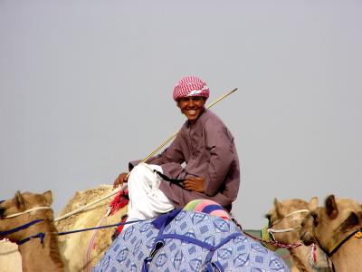 Smiling Camel Ridere