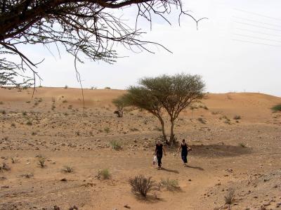 Our picnic site