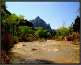 Zion River