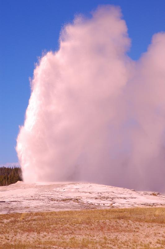 Old Faithful