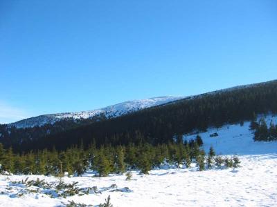 148-4823_IMG.JPG