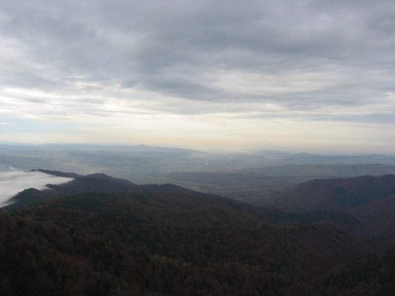 146-4669_IMG.JPG