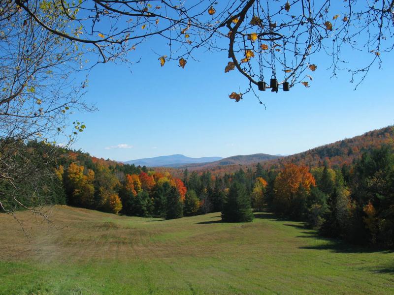 [2004-12-01] The Meadow