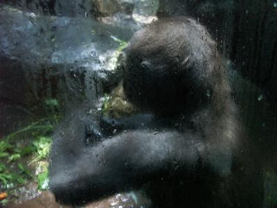 PICT2598.JPG