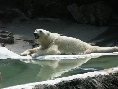 PICT2689.JPG