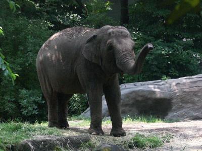 PICT2637.JPG