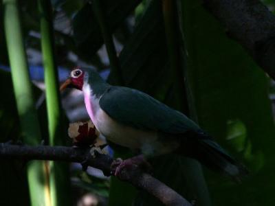 PICT4636.JPG