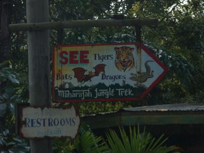 PICT4640.JPG